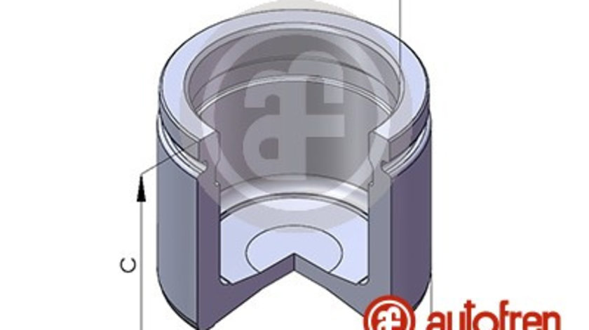 Piston, etrier frana punte fata (D02579 AUT) CHRYSLER,FORD,MERCEDES-BENZ,OPEL