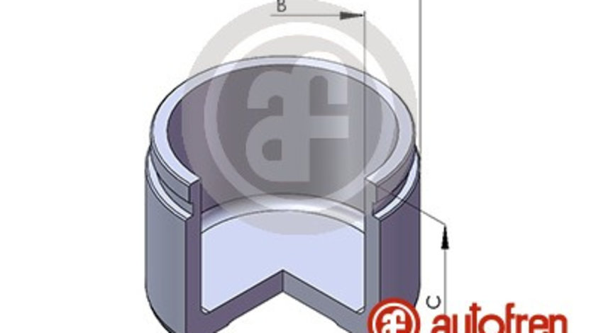 Piston, etrier frana punte fata (D02595 AUT) LEXUS,MERCEDES-BENZ,MITSUBISHI,TOYOTA,TOYOTA (FAW)