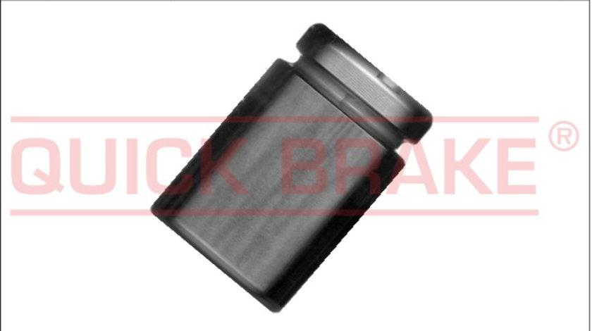 Piston, etrier frana puntea spate (185045 QBK) AUDI,FORD,HONDA,JAGUAR,LAND ROVER,SEAT,SKODA,VOLVO,VW