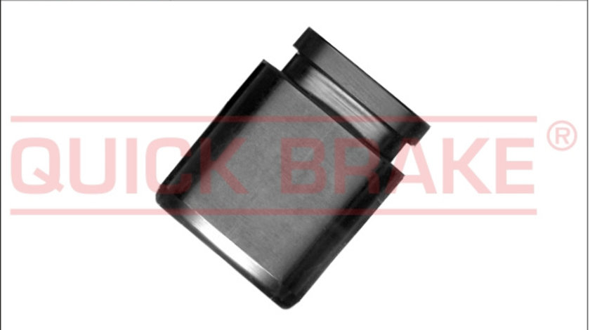 Piston, etrier frana puntea spate (185052 QBK) Citroen,MITSUBISHI,NISSAN,OPEL,PEUGEOT,SUBARU,TOYOTA,VAUXHALL