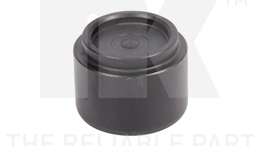 Piston, etrier frana puntea spate (8648005 NK) VOLVO