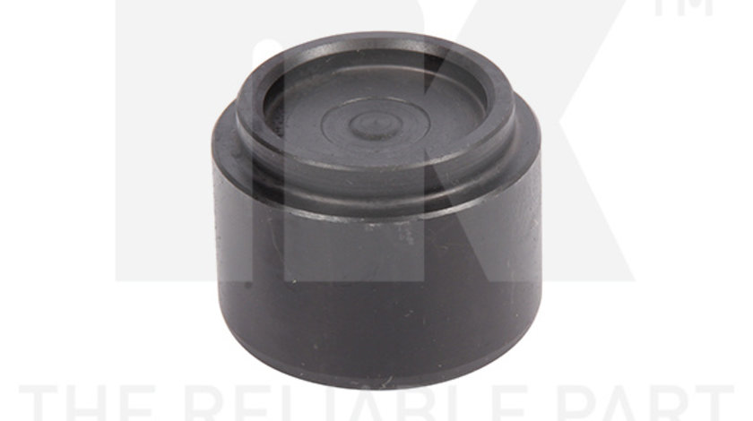 Piston, etrier frana puntea spate (8648005 NK) VOLVO