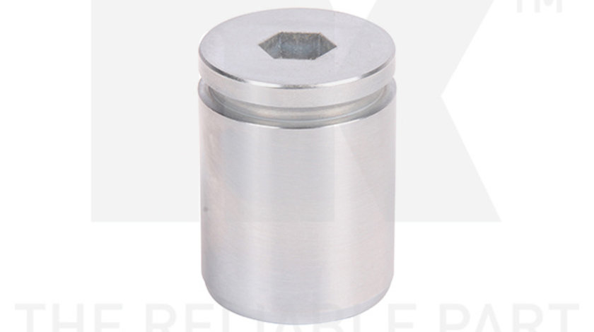 Piston, etrier frana puntea spate (8699007 NK) ALFA ROMEO,AUDI,FIAT,LANCIA,VW