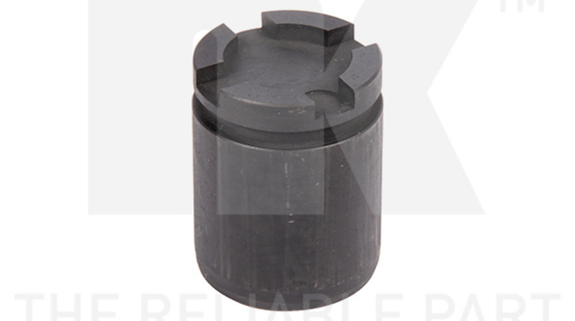 Piston, etrier frana puntea spate (8699066 NK) Citroen,PEUGEOT,RENAULT