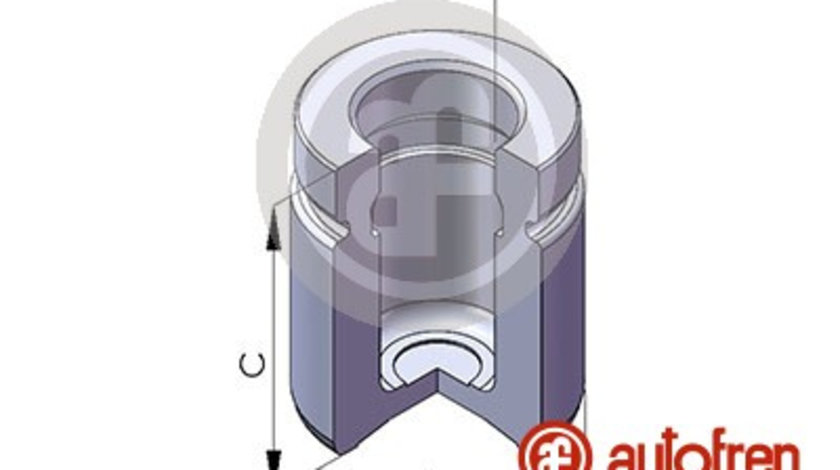 Piston, etrier frana puntea spate (D025114 AUT) BMW