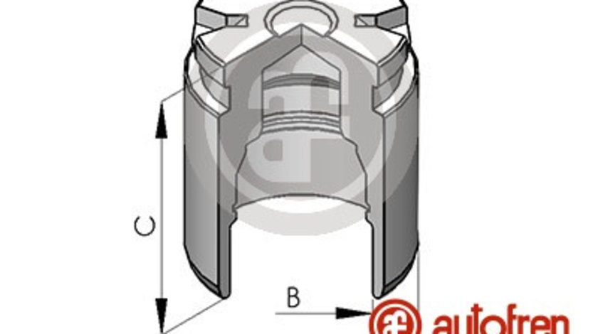 Piston, etrier frana puntea spate (D025116 AUT) NISSAN