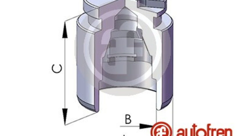 Piston, etrier frana puntea spate (D025119 AUT) MAZDA