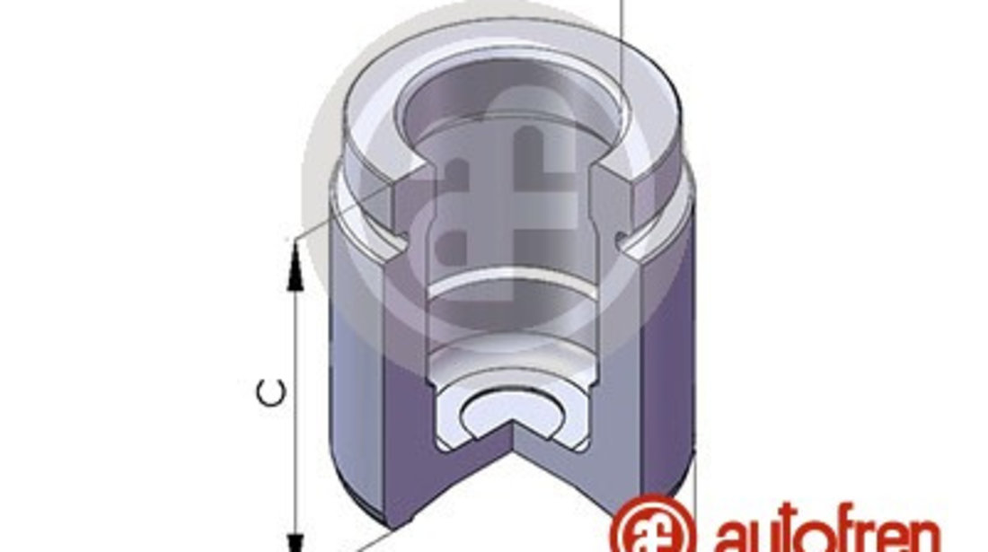 Piston, etrier frana puntea spate (D025125 AUT) BMW,MG,VOLVO