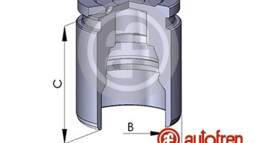 Piston, etrier frana puntea spate (D025126 AUT) AUDI,CHRYSLER,DAIMLER,DODGE,FIAT,JAGUAR,LANCIA,MERCEDES-BENZ,VW