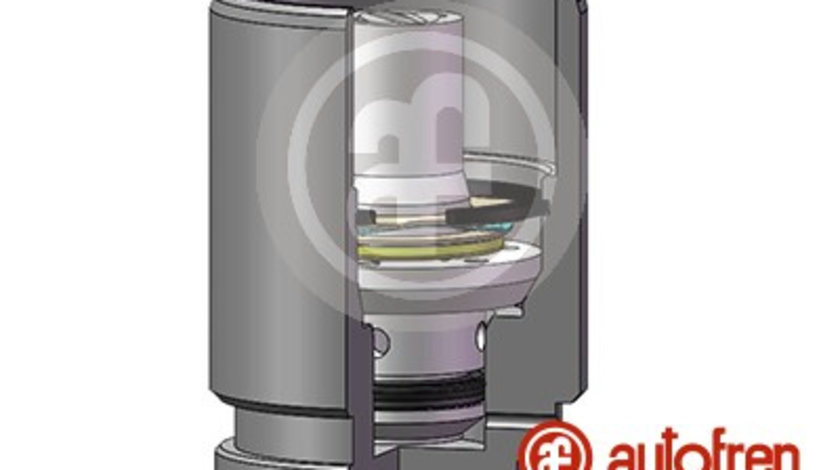 Piston, etrier frana puntea spate (D02519K AUT) ALFA ROMEO,ALPINA,AUDI,BMW,CHEVROLET,Citroen,DS,FIAT,FORD,HONDA,LANCIA,MAZDA,MERCEDES-BENZ,MINI,MITSUBISHI,NISSAN,OPEL,PEUGEOT,PORSCHE,RENAULT,SEAT,SKOD