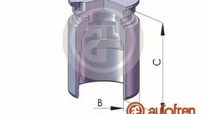 Piston, etrier frana puntea spate (D025222 AUT) CHEVROLET,FIAT,OPEL,VAUXHALL