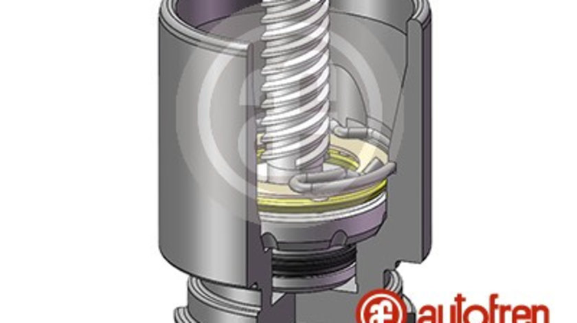 Piston, etrier frana puntea spate (D025222K AUT) CHEVROLET,FIAT,OPEL,VAUXHALL