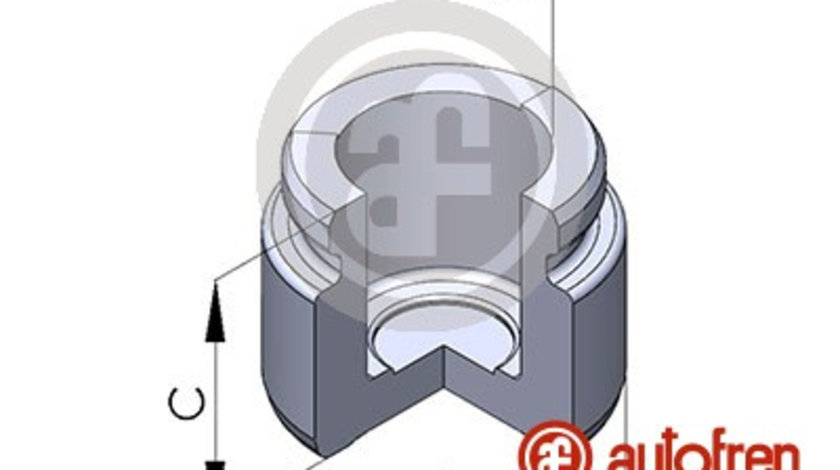 Piston, etrier frana puntea spate (D025229 AUT) CHRYSLER,MERCEDES-BENZ