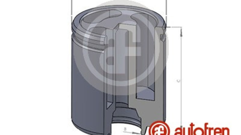 Piston, etrier frana puntea spate (D025234 AUT) ALPINA,FORD,IVECO,VAUXHALL,VW