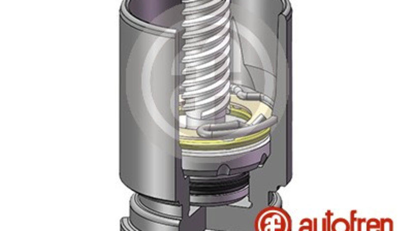 Piston, etrier frana puntea spate (D02523K AUTOFREN) CHEVROLET,Citroen,HYUNDAI,OPEL,PEUGEOT,VAUXHALL