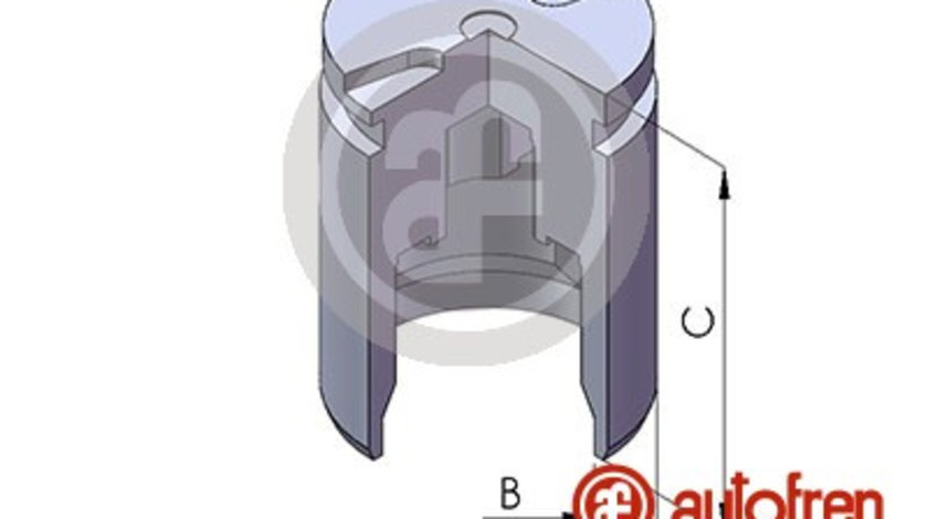 Piston, etrier frana puntea spate (D02525 AUTOFREN) ALFA ROMEO,AUDI,FIAT,LANCIA,VW