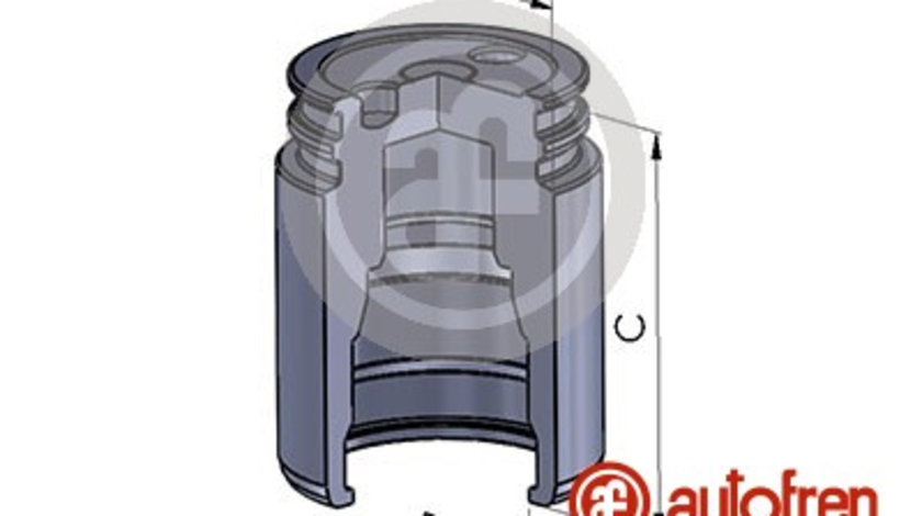 Piston, etrier frana puntea spate (D025251 AUT) CADILLAC,Citroen,FORD,ISUZU,MAZDA,MERCEDES-BENZ,NISSAN,OPEL,RENAULT,SAAB,VAUXHALL,VOLVO,VW