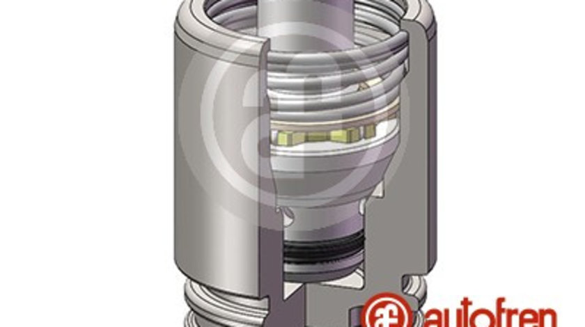 Piston, etrier frana puntea spate (D025251K AUT) CADILLAC,Citroen,FORD,ISUZU,MAZDA,MERCEDES-BENZ,NISSAN,OPEL,RENAULT,SAAB,VAUXHALL,VOLVO