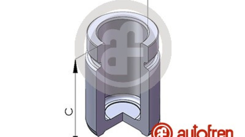 Piston, etrier frana puntea spate (D025253 AUT) CHEVROLET,Citroen,ISUZU,LAND ROVER,MITSUBISHI,NISSAN,OPEL,PEUGEOT,SUBARU,TOYOTA,VAUXHALL