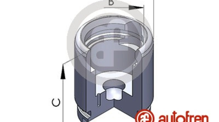 Piston, etrier frana puntea spate (D025258 AUT) ALFA ROMEO,Citroen,PEUGEOT,RENAULT,ROVER