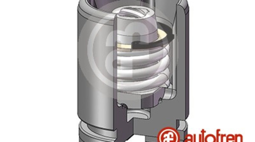 Piston, etrier frana puntea spate (D02526K AUTOFREN) HONDA,MG,ROVER