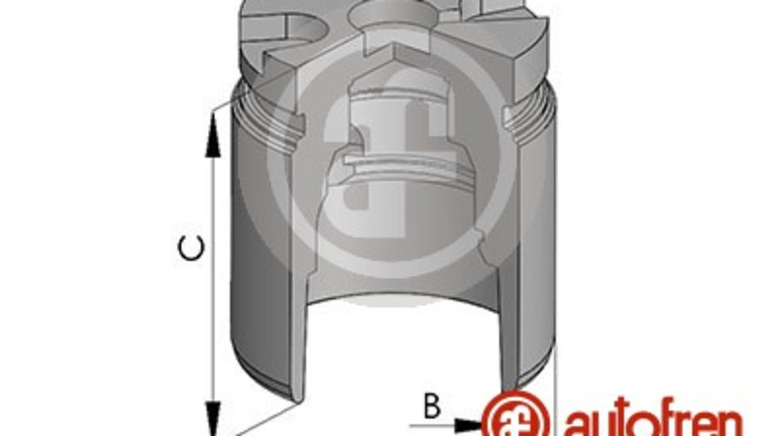 Piston, etrier frana puntea spate (D025441 AUT) NISSAN,OPEL,RENAULT,VAUXHALL