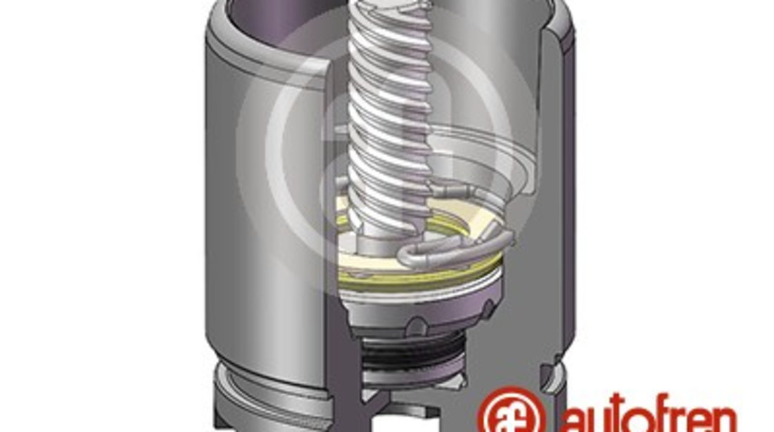 Piston, etrier frana puntea spate (D025441LK AUT) NISSAN,OPEL,RENAULT,SAAB,SKODA,VAUXHALL