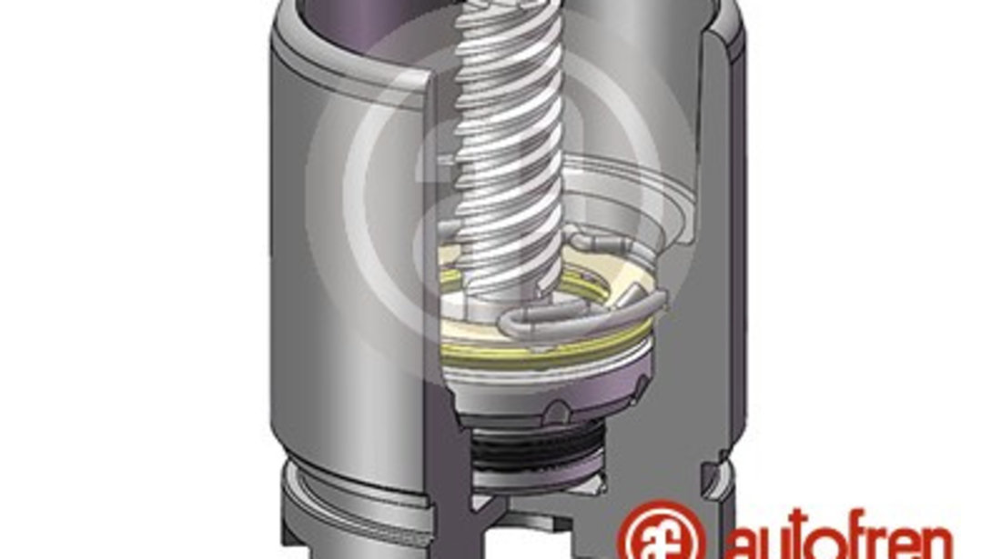 Piston, etrier frana puntea spate (D025441RK AUT) NISSAN,OPEL,RENAULT,SAAB,SKODA,VAUXHALL