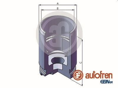 Piston, etrier frana puntea spate (D025492 AUTOFREN) RENAULT