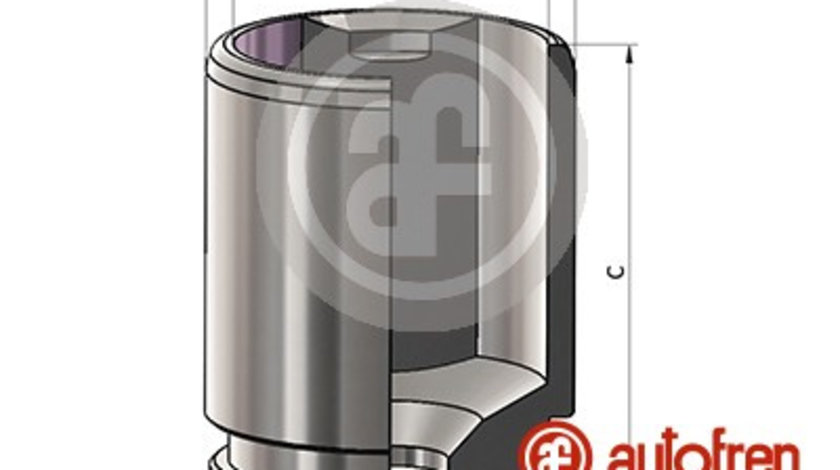 Piston, etrier frana puntea spate (D025536 AUT) AUDI,JAGUAR,SEAT,VOLVO,VW