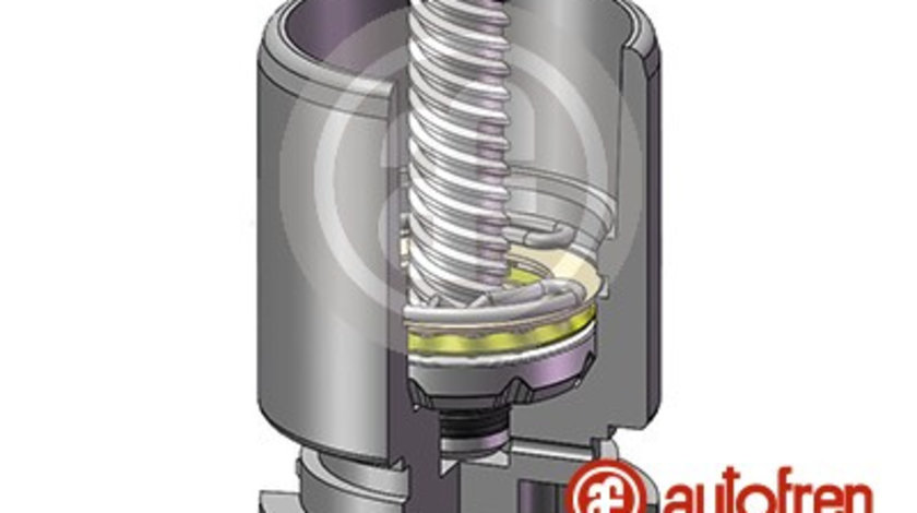 Piston, etrier frana puntea spate (D02554LK AUT) ALFA ROMEO,AUDI,CHRYSLER,Citroen,FIAT,FORD,JAGUAR,LANCIA,MAZDA,PEUGEOT,RENAULT,SEAT,SKODA,VW