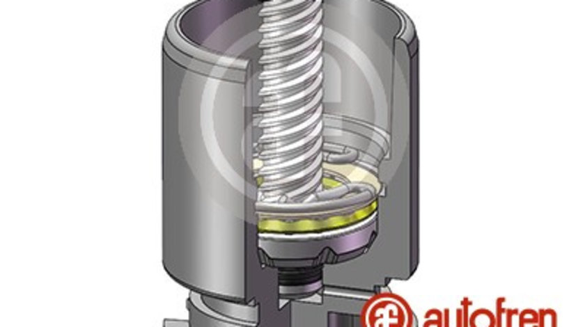 Piston, etrier frana puntea spate (D02554RK AUT) ALFA ROMEO,AUDI,CHRYSLER,Citroen,FIAT,FORD,JAGUAR,LANCIA,MAZDA,PEUGEOT,RENAULT,SEAT,SKODA,VW