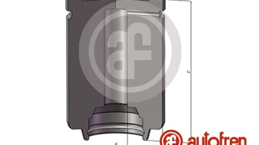 Piston, etrier frana puntea spate (D025583 AUT) NISSAN