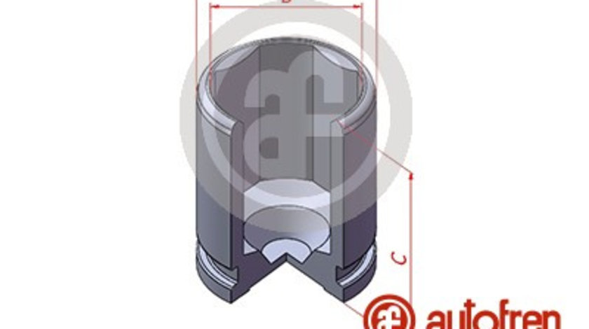 Piston, etrier frana puntea spate (D025614 AUTOFREN) HONDA