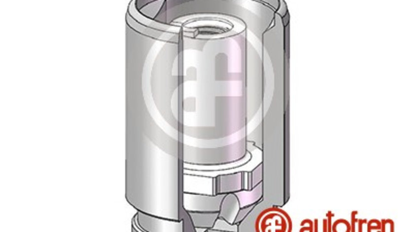 Piston, etrier frana puntea spate (D025620K AUTOFREN) HONDA,LAND ROVER,MERCEDES-BENZ,NISSAN,RENAULT