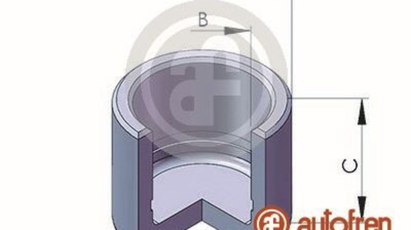 Piston, etrier frana puntea spate (D025651 AUT) LAND ROVER