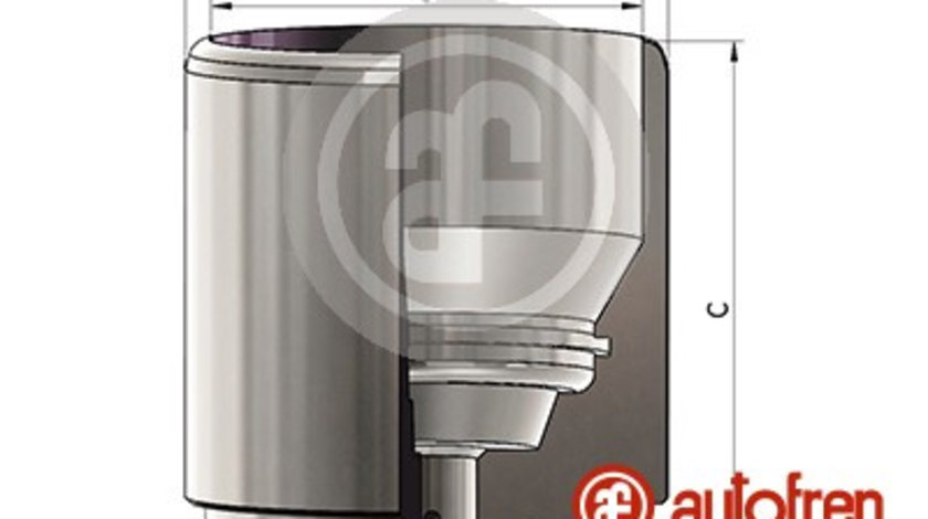 Piston, etrier frana puntea spate (D025681 AUT) NISSAN,OPEL,RENAULT,VAUXHALL