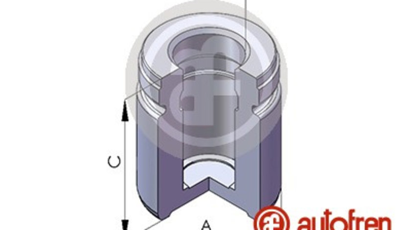 Piston, etrier frana puntea spate (D02577 AUT) BMW,MG,ROVER,SAAB