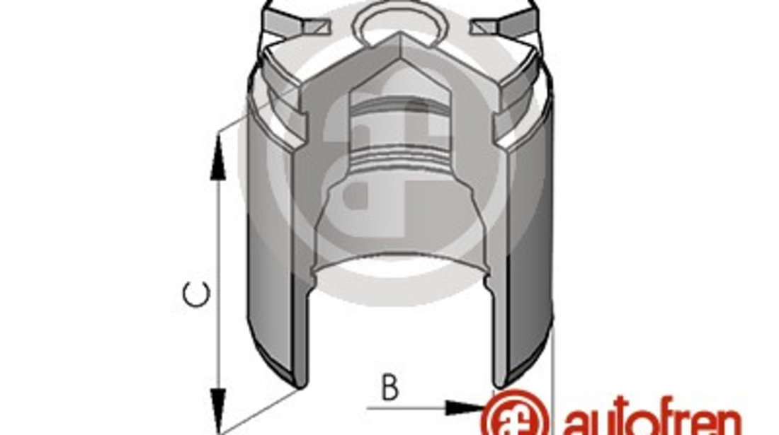 Piston, etrier frana puntea spate (D02578 AUT) ABARTH,ACURA,ALFA ROMEO,ASTON MARTIN,AUDI,BMW,CHEVROLET,FIAT,FORD,HONDA,HYUNDAI,KIA,LADA,LANCIA,MAZDA,MITSUBISHI,NISSAN,OPEL,PEUGEOT,RENAULT,SEAT,SUBARU,