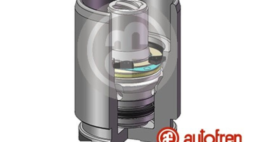 Piston, etrier frana puntea spate (D02578K AUT) ABARTH,ACURA,ALFA ROMEO,ASTON MARTIN,AUDI,BMW,CHEVROLET,FIAT,FORD,HONDA,HYUNDAI,KIA,LADA,LANCIA,MAZDA,MITSUBISHI,NISSAN,OPEL,PEUGEOT,RENAULT,SEAT,SUBARU