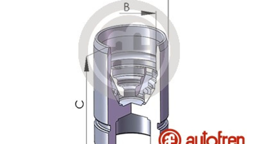 Piston, etrier frana puntea spate (D02589 AUT) DAIHATSU,FORD USA,MAZDA,SUZUKI