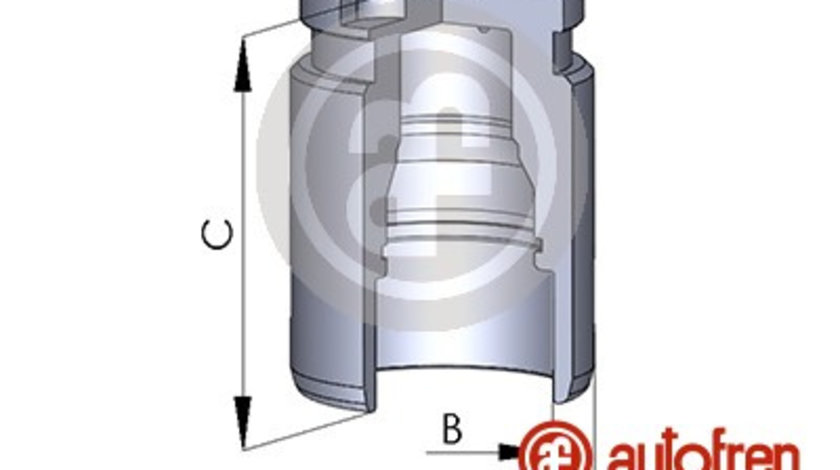 Piston, etrier frana puntea spate (D02594 AUT) BMW,HONDA,HYUNDAI,INFINITI,KIA,MITSUBISHI,NISSAN,SMART