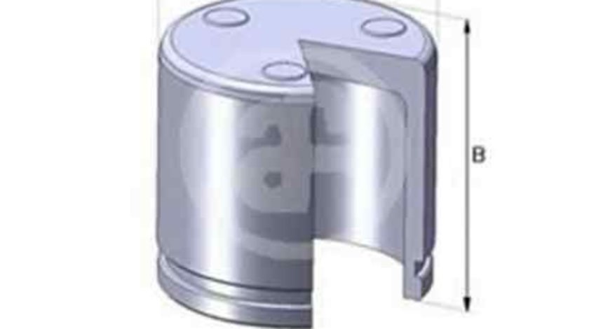 Piston, etrier frana RENAULT KANGOO Express (FC0/1_) AUTOFREN SEINSA D02551