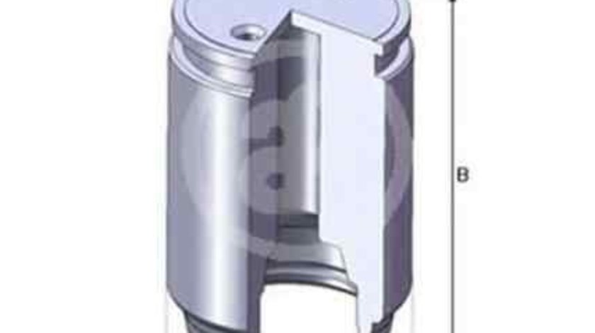 Piston, etrier frana RENAULT LAGUNA I (B56_, 556_) AUTOFREN SEINSA D02545