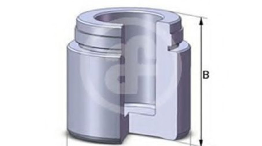 Piston, etrier frana RENAULT MASTER I caroserie (T) (1980 - 1998) AUTOFREN SEINSA D02537 piesa NOUA