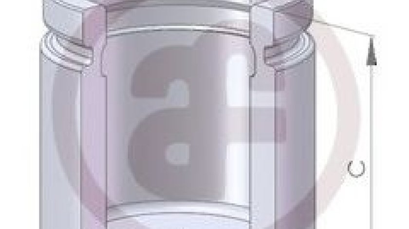 Piston, etrier frana SAAB 9-3 Cabriolet (YS3D) (1998 - 2003) AUTOFREN SEINSA D02559 piesa NOUA