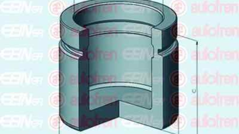 Piston etrier frana SKODA OCTAVIA 1Z3 AUTOFREN SEINSA D025487