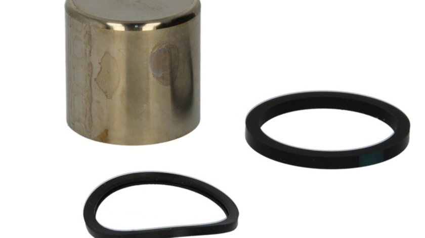 Piston, etrier frana Suzuki GSF TOURMAX CPK-317