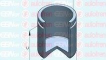 Piston, etrier frana TOYOTA AVENSIS (T25) (2003 - ...