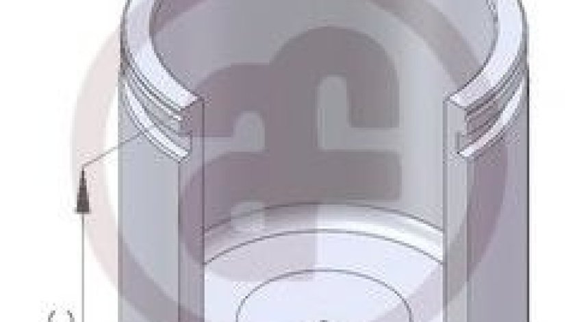 Piston, etrier frana TOYOTA COROLLA (CDE12, ZZE12, NDE12, ZDE12) (2001 - 2007) AUTOFREN SEINSA D02580 piesa NOUA